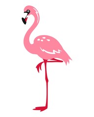 Flamingo - vector illustration isolated on white background. 