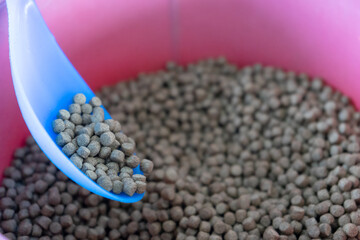 Fish meal