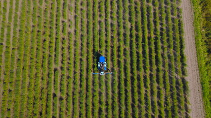 Maschine versprüht Pflanzenschutzmittel auf einem Feld © keBu.Medien