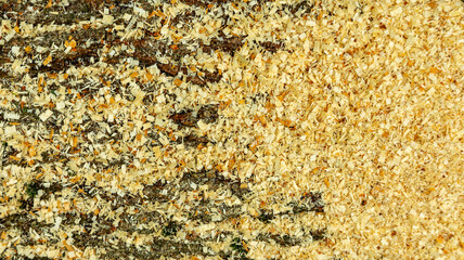 small wood shavings of deciduous wood