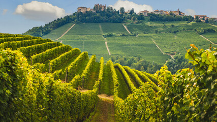 Panorama of Novello with the town and the vineyards. Novello is the main villages of the Langhe wine district, Piedmont, Italy - obrazy, fototapety, plakaty