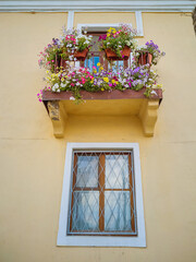 Fototapeta na wymiar Flowers in pots are on the balcony of the house. The concept of growing flowers, decorating the facade of the building.