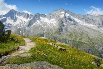 Fototapeta na wymiar Wanderweg am Hochgebirge im Zillertal in Tirol Österreich