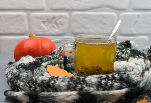 Autumn leaves, pumpkin, a cup of green tea in a variegated black and white scarf yf against a white brick wall background. A woolen scarf keeps tea warm. Autumn concept.
