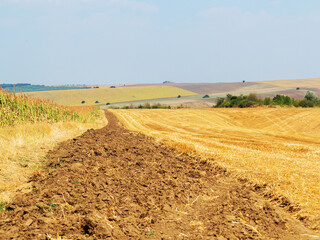 mown field on a bright autumn day. Collect grain harvest. Farming, idyll landscape background