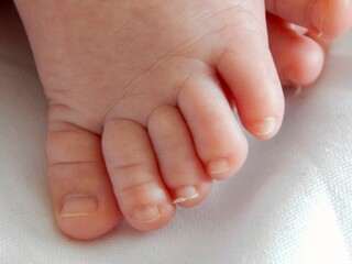 close-up of baby foot, newborn toes in macrophotography