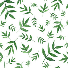 Naklejka na ściany i meble Green leaves, plants, leaves, branches isolated on white background. Seamless pattern. Watercolor illustration