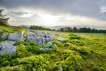 Sunset over green field