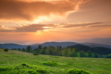 Sunset over green field
