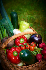 Wicker basket with fresh natural vegetables on a background of green lawn. Selective focus