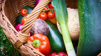 Wicker basket with fresh natural vegetables on a background of green lawn. Selective focus