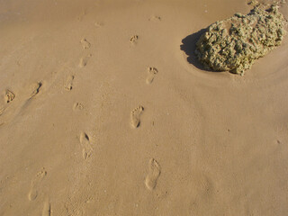 childs footprints on the sand