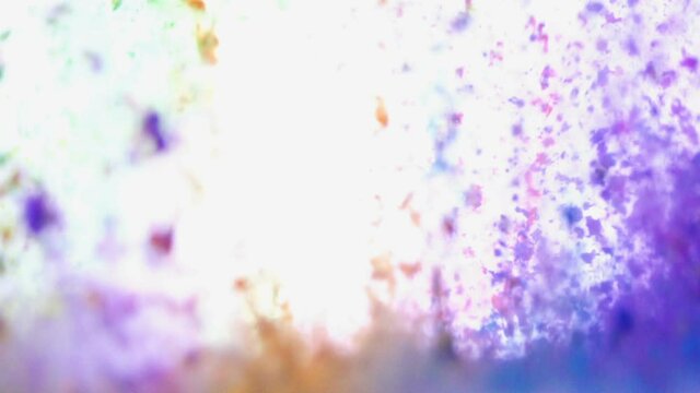 Color powder / dust explosions background texture in slow motion shot at 960fps