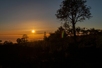 Puesta de sol con árboles y montañas