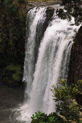 Whangarei Falls, New Zealand