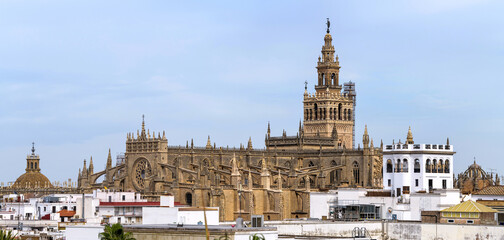 Seville Cathedral - A panoramic rooftop view of the roof of Seville Cathedral, with La Giralda tower rising high at behind, on a sunny Autumn day. Seville, Andalusia, Spain.