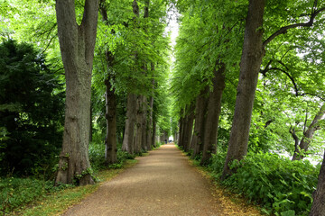 Allee beim Schloss Eutin, Schleswig-Holstein