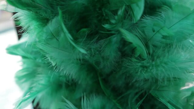 Decoration made of chicken feathers dyed green, camera close up moviment