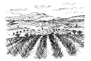 Black White Pen Sketch White Background Mountainous Landscape Provence Lavender fields, rural buildings among cypresses and olives, mountains. Isolated vector drawing.