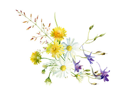 Watercolor composition of dandelion and blue flowers on white background