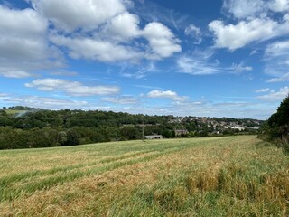 Looking across a wheat field toward Mirfield, with trees, farms and houses, in the distance