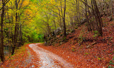 Naklejka premium Empty road