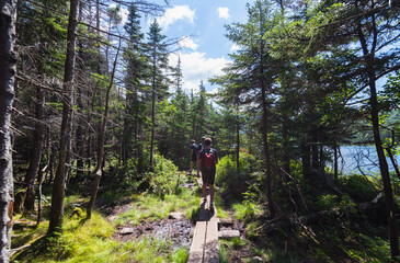 Fototapeta premium Hiking around the Lonesome Lake trails in New Hampshire. White Mountains landscape adventure background