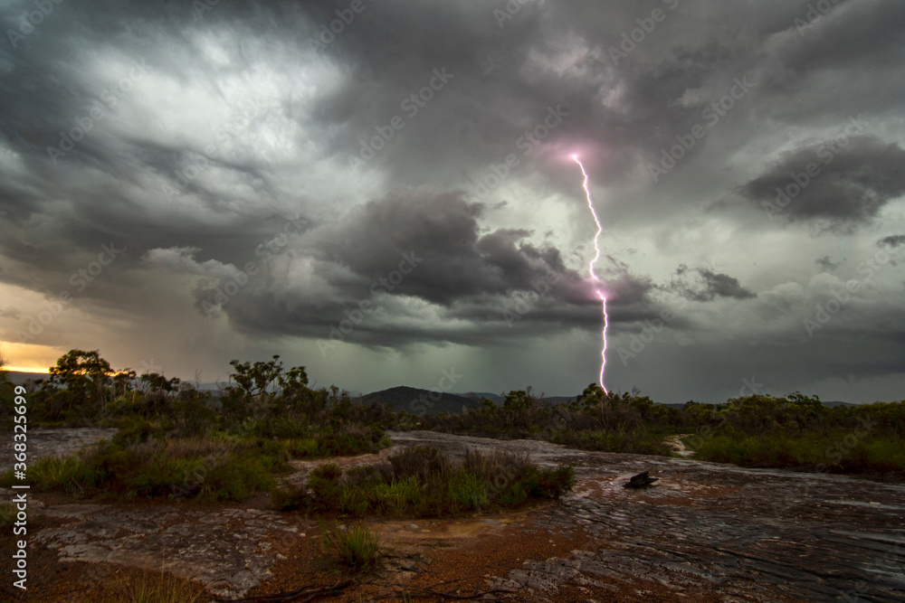Wall mural lightning strike in the bush