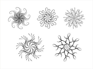 Set of vintage ornaments with floral elements, vector illustration