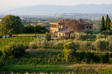 Tuscany, Italy - Landscape