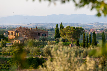 Tuscany, Italy - Landscape