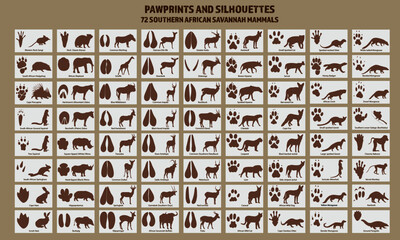 African mammal paw prints and silhouettes, including wild cats and elephant