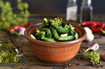 Small cucumbers with dill, pepper and garlic marinated on the kitchen table. Pikuli. Gherkins.