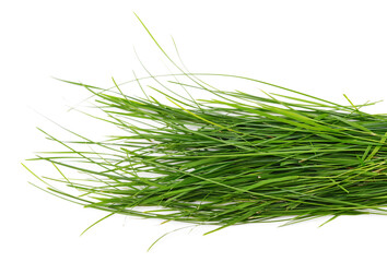 Bunch of green grass.