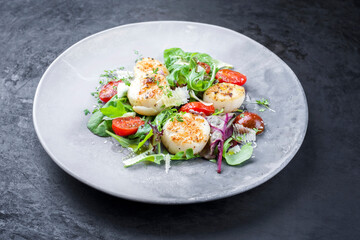 Traditionelle gegrillte Jakobsmuscheln mit Tomaten, Salat und italienischen Parmesan Käse angeboten als close-up of einem rustikalen Modern Design Teller