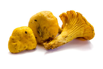 Chanterelles isolated on white background