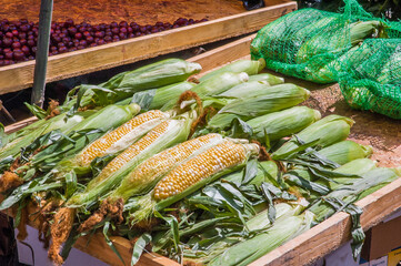 Large heads of peeled field corn are selling in the street market
