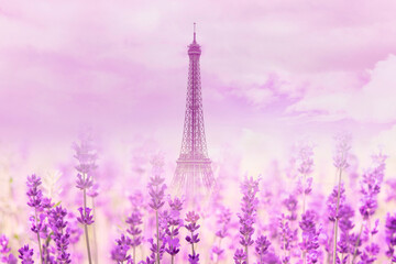 Untypical view of Eiffel Tower in paris with lavender flowers, summer landscape, space for text