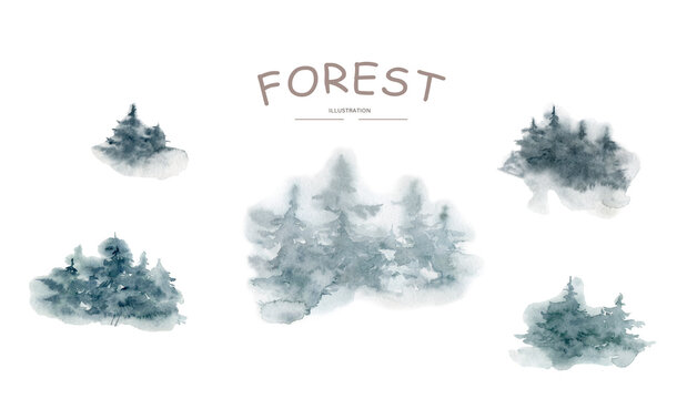 Wild coniferous wood in a morning fog. Forest watercolor background illustration
