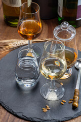 Scotch single malt and blended whisky tasting on distillery in Scotland