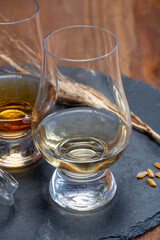 Scotch single malt and blended whisky tasting on distillery in Scotland