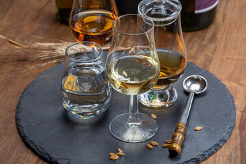 Scotch single malt and blended whisky tasting on distillery in Scotland