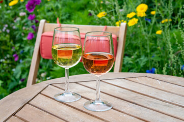 Tasting of Dutch rose and dry white wine on vineyard in summer
