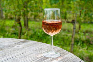 Tasting of Dutch rose wine on vineyard in summer