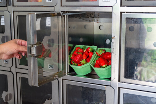 Robotic vending machine fot sale of fresh fruits and berries, strawberry