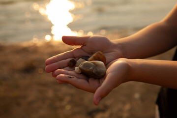 Children's hands holding a handful of river stones on the background of sunset