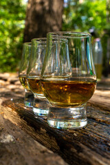 Tasting of different Scotch whiskies on outdoor terrace, dram of whiskey