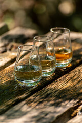 Tasting of different Scotch whiskies on outdoor terrace, dram of whiskey