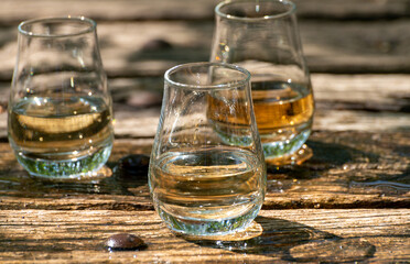 Tasting of different Scotch whiskies on outdoor terrace, dram of whiskey
