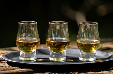 Tasting of different Scotch whiskies on outdoor terrace, dram of whiskey